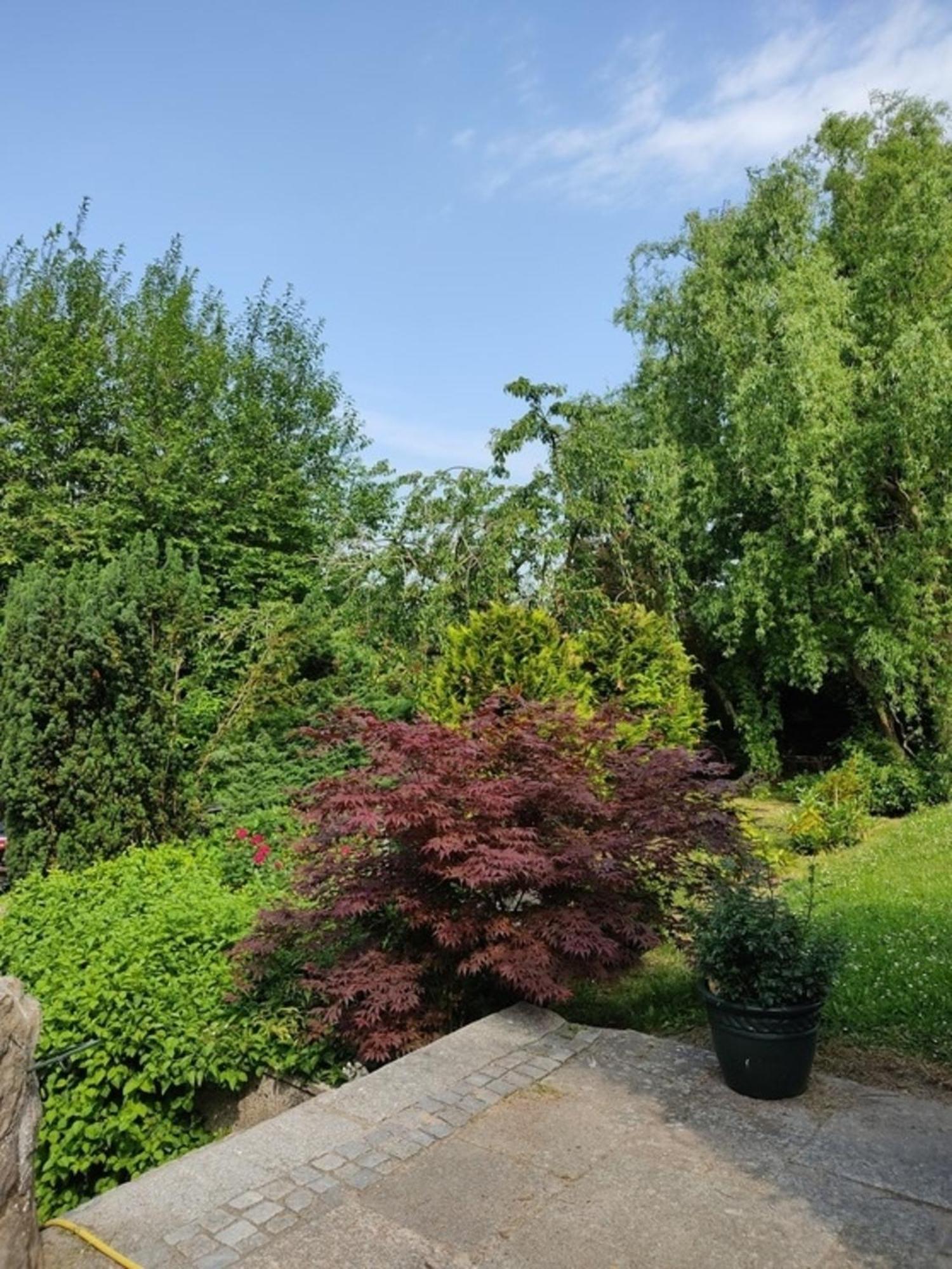 Appartementhaus Rosengarten - A3 * Neustadt in Holstein