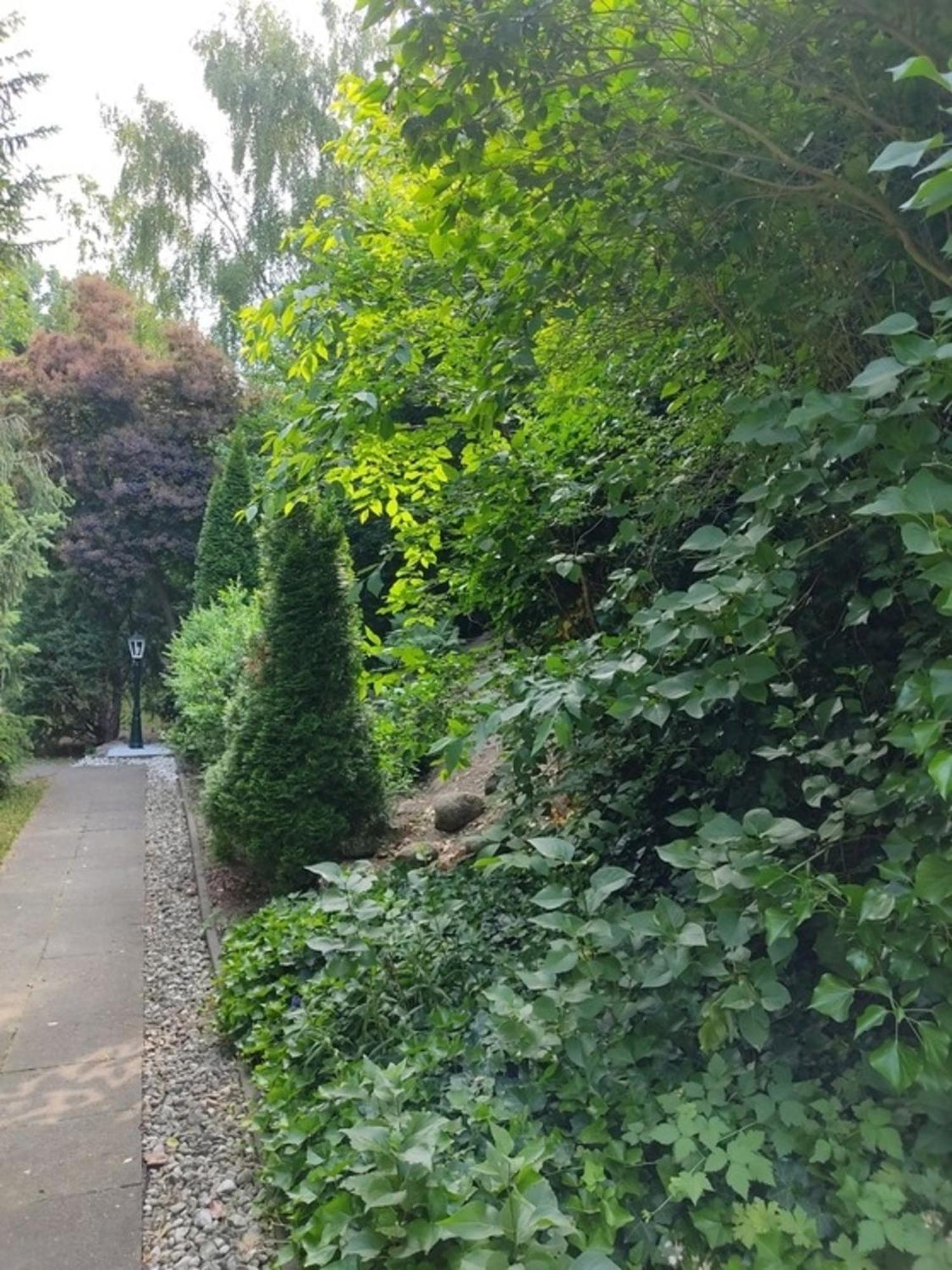 Appartementhaus Rosengarten - A3 Apartment Neustadt in Holstein